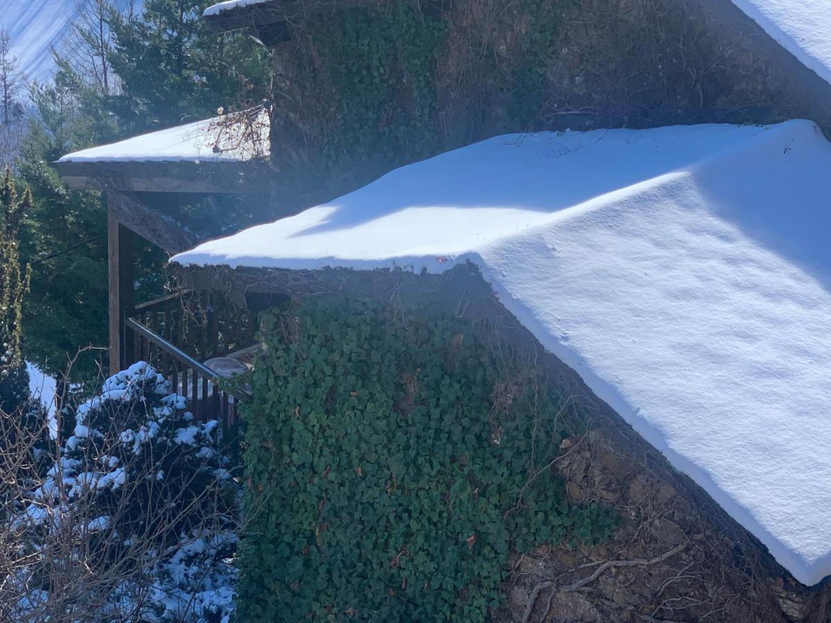 Casa Rural Pirineu Neva ภายนอก รูปภาพ
